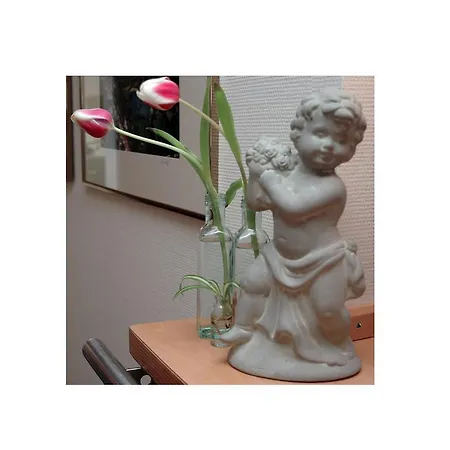 Hotel Am Rokokogarten 3*
